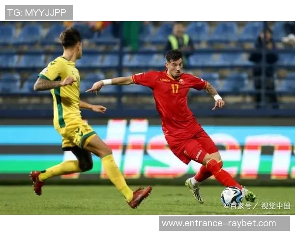 2010年欧洲预选赛德国队与土耳其队激战回顾与精彩瞬间分析